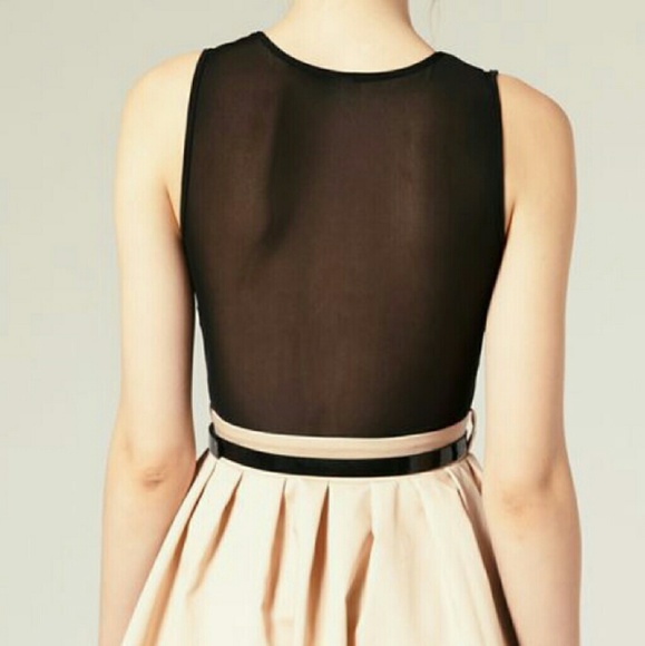 🌺NWT🌺 ASOS mesh peter pan collar dress - Picture 2 of 5