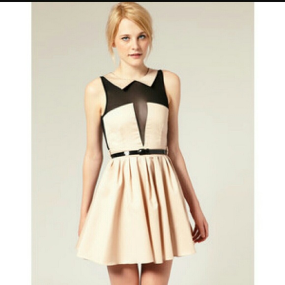 🌺NWT🌺 ASOS mesh peter pan collar dress - Picture 3 of 5