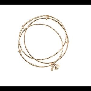 Alex & Ani set of 3 gold brass expandable bangles