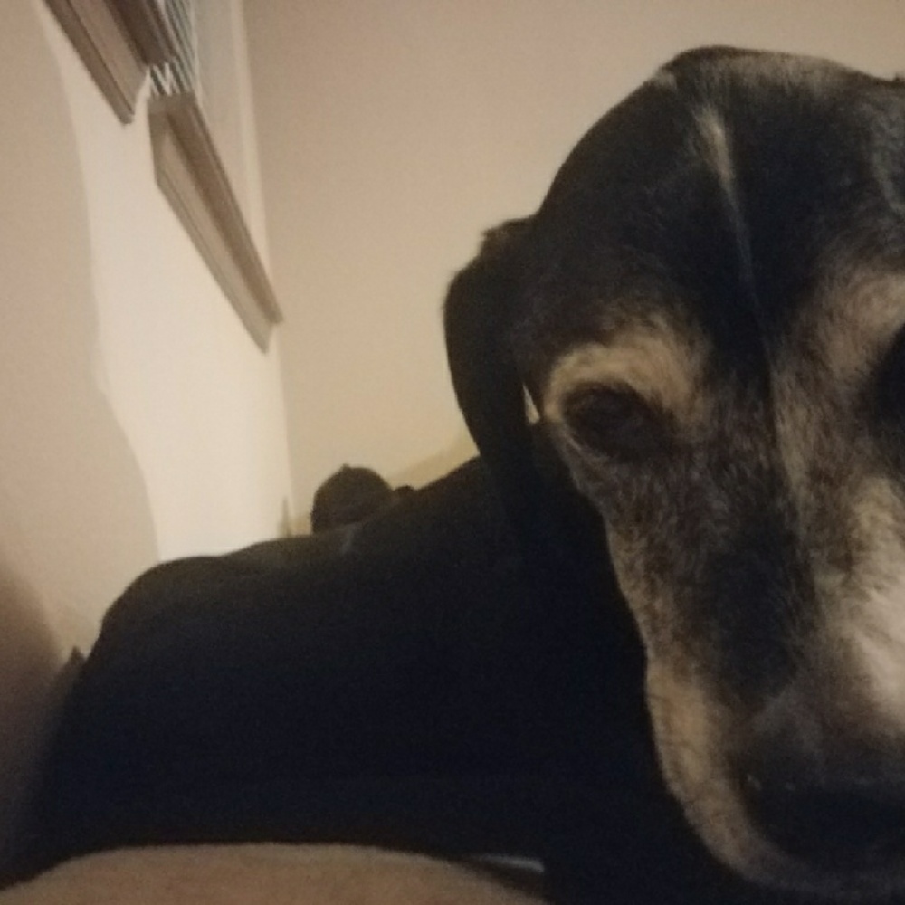 Meet your Posher, Debora