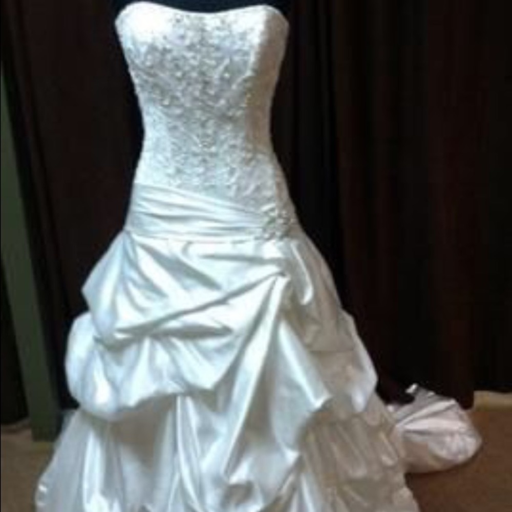 Wedding dress,accessories,Cathedral veil w/ blush