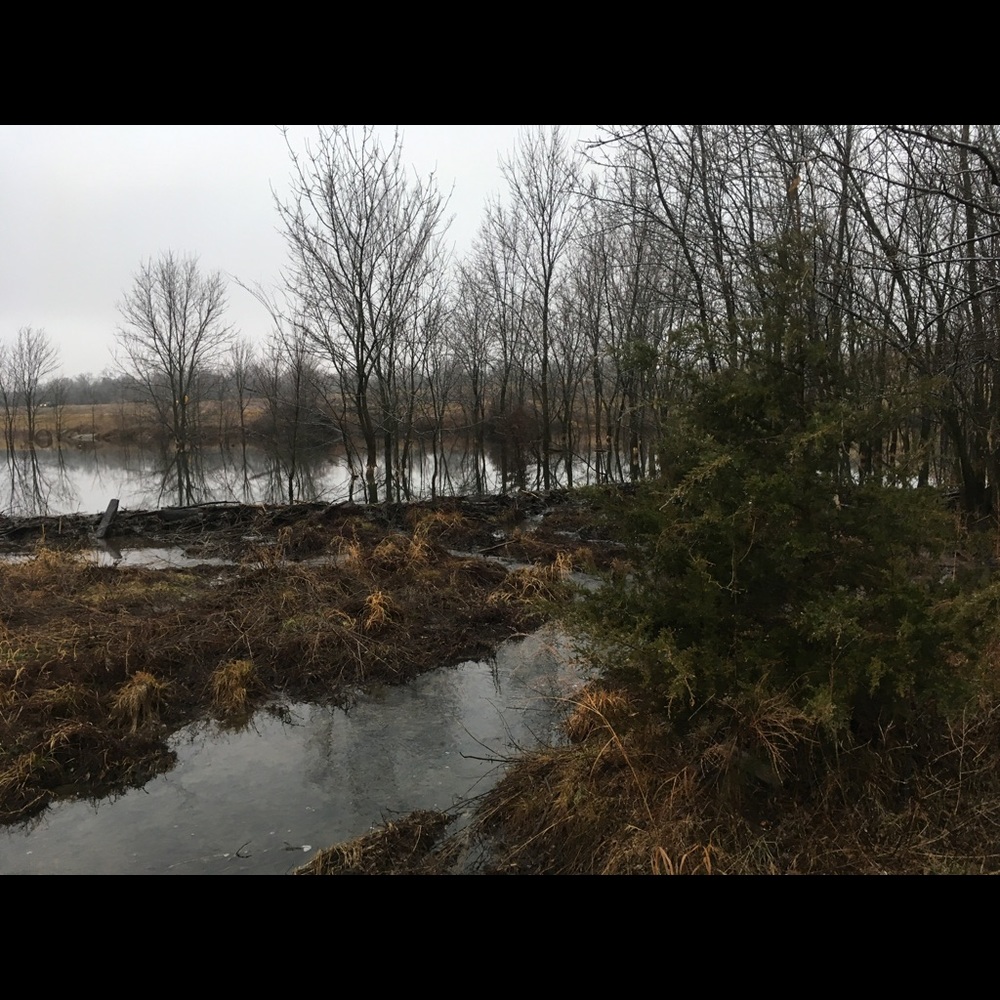 Meet your Posher, Karson