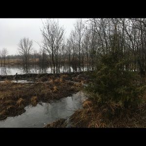 Meet your Posher, Karson