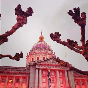 Meet your Posher, Lane