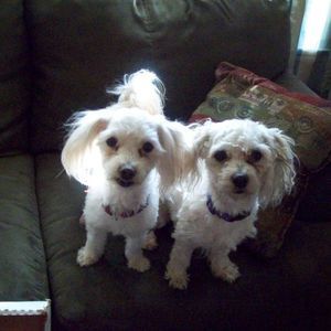 Meet your Posher, Ruth