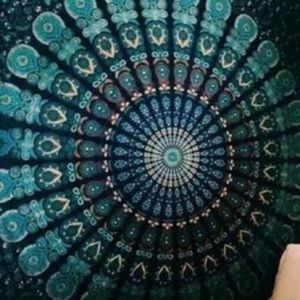 Meet your Posher, Elli