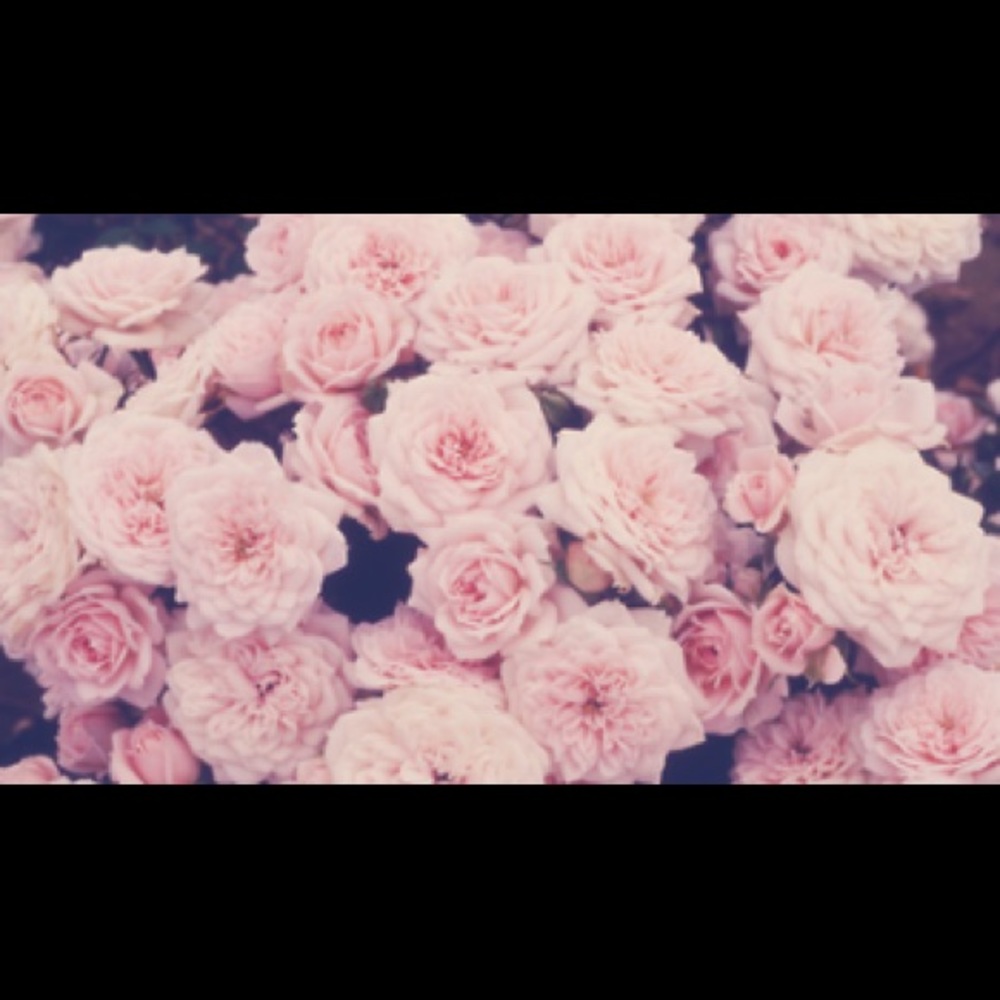 Meet your Posher, Jayna