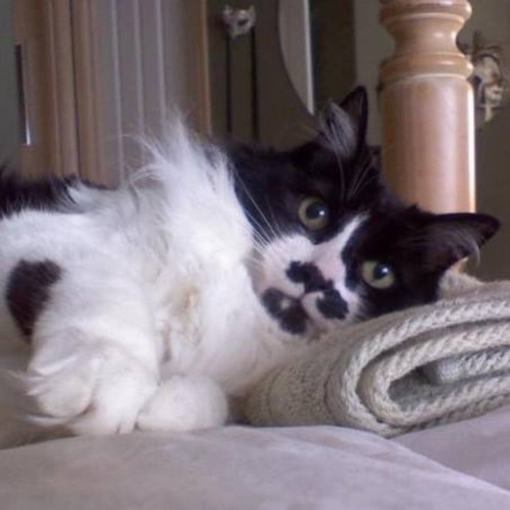 Meet your Posher, Caroline