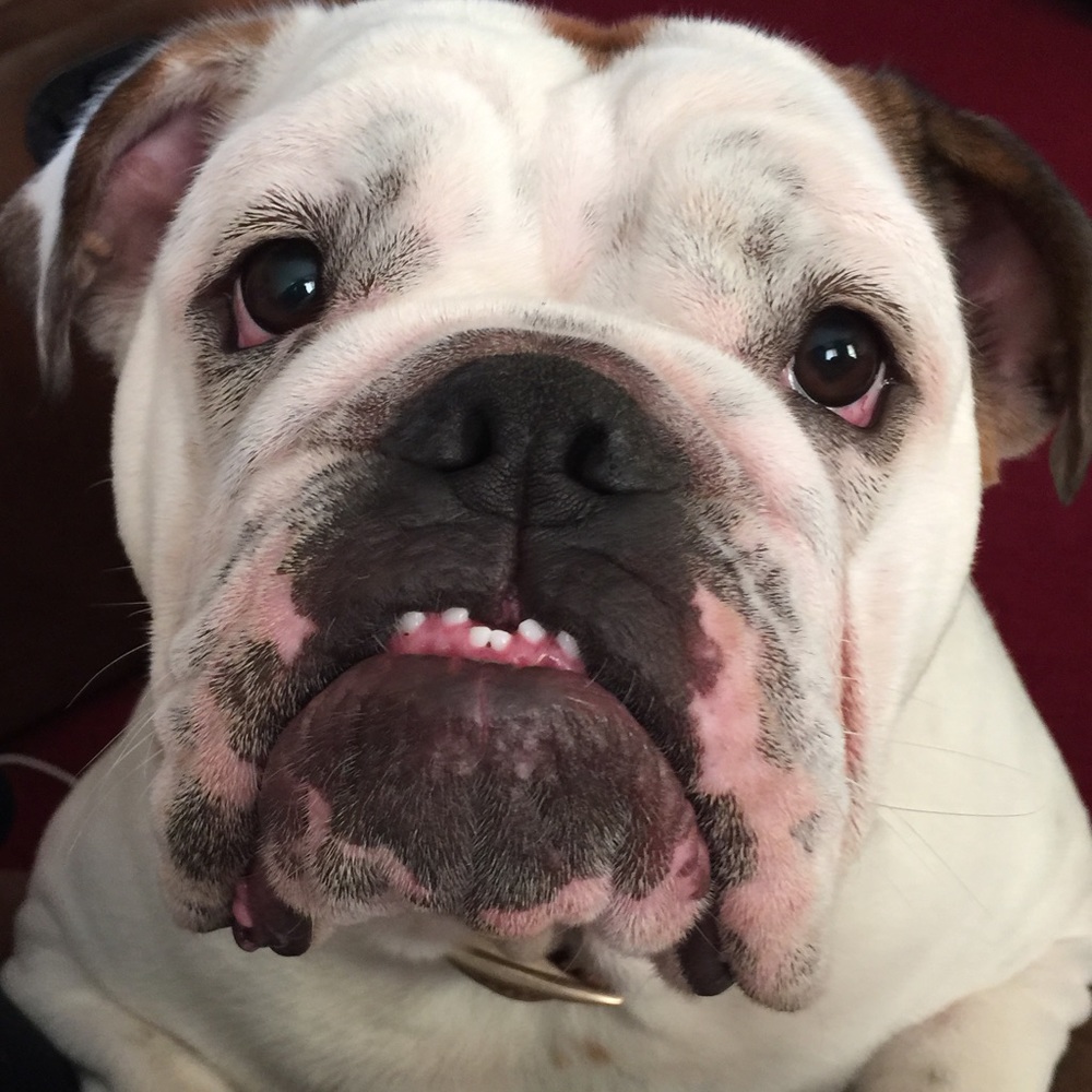 Meet your Posher, Casey