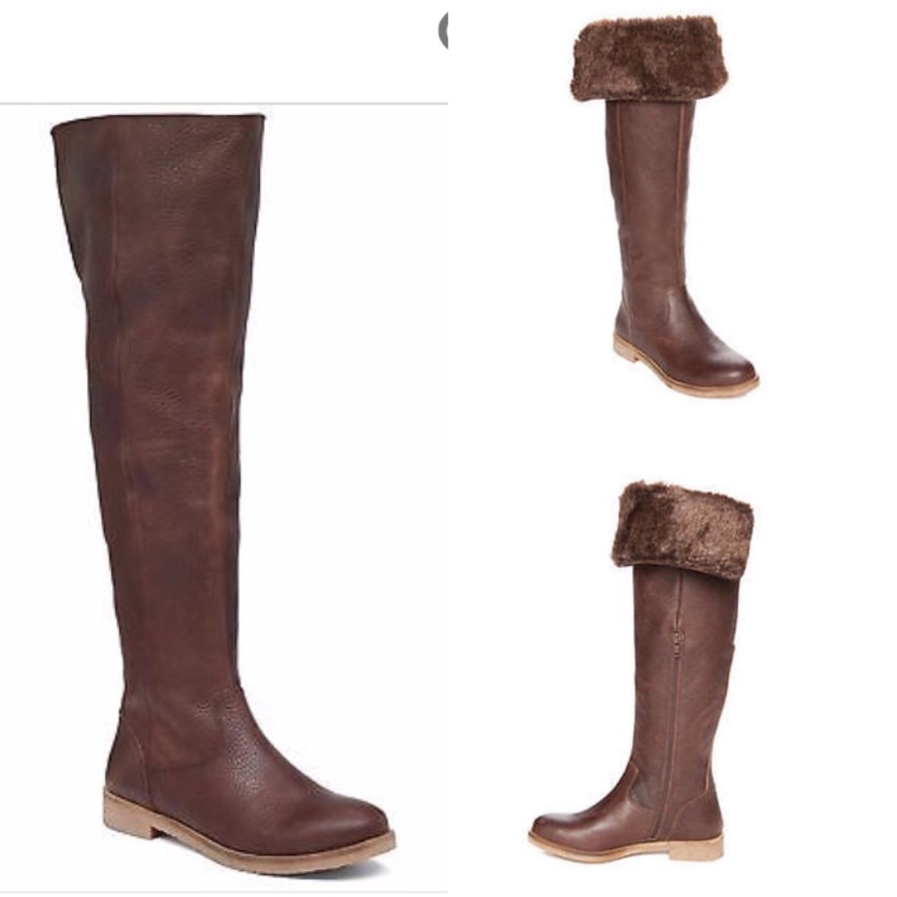 BNIB Lucky Brand Generall over knee Nutmag Brown 6