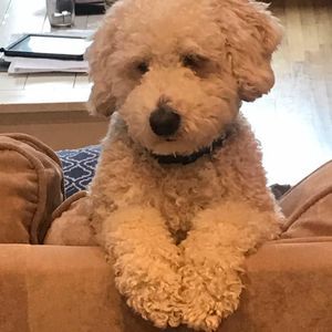 Meet your Posher, Angela