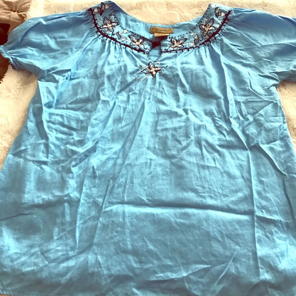 Beautiful blue embroidered blouse 👚