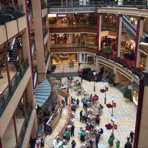 Meet your Posher, Stormy