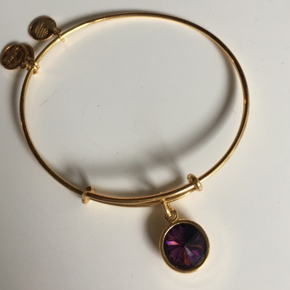 February birth month charm bangle