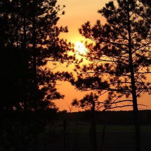 Meet your Posher, Mona