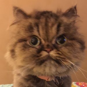 Meet your Posher, Christine