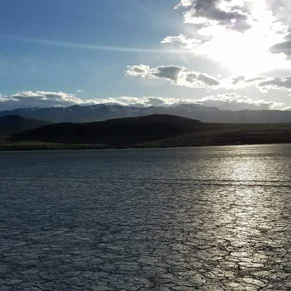 Meet your Posher, Nora - Picture 2 of 2