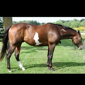 Meet your Posher, Michelle