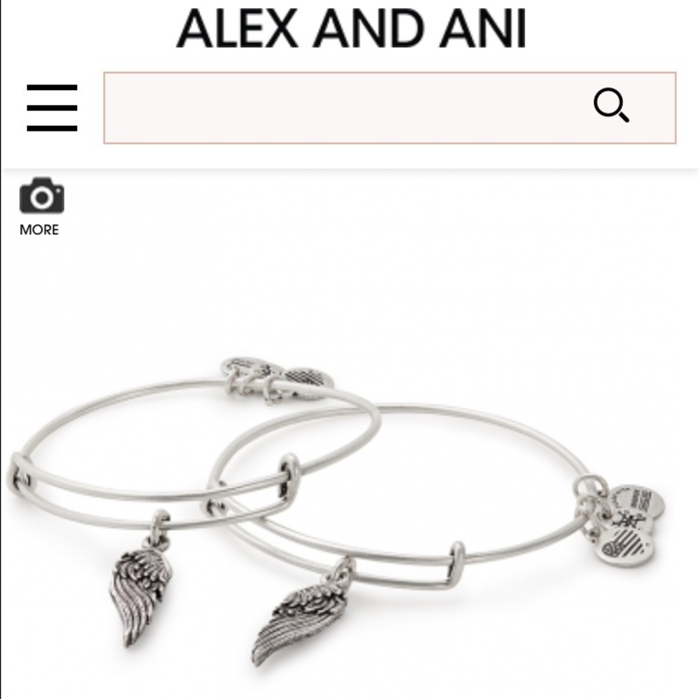 Alex and ani wings set