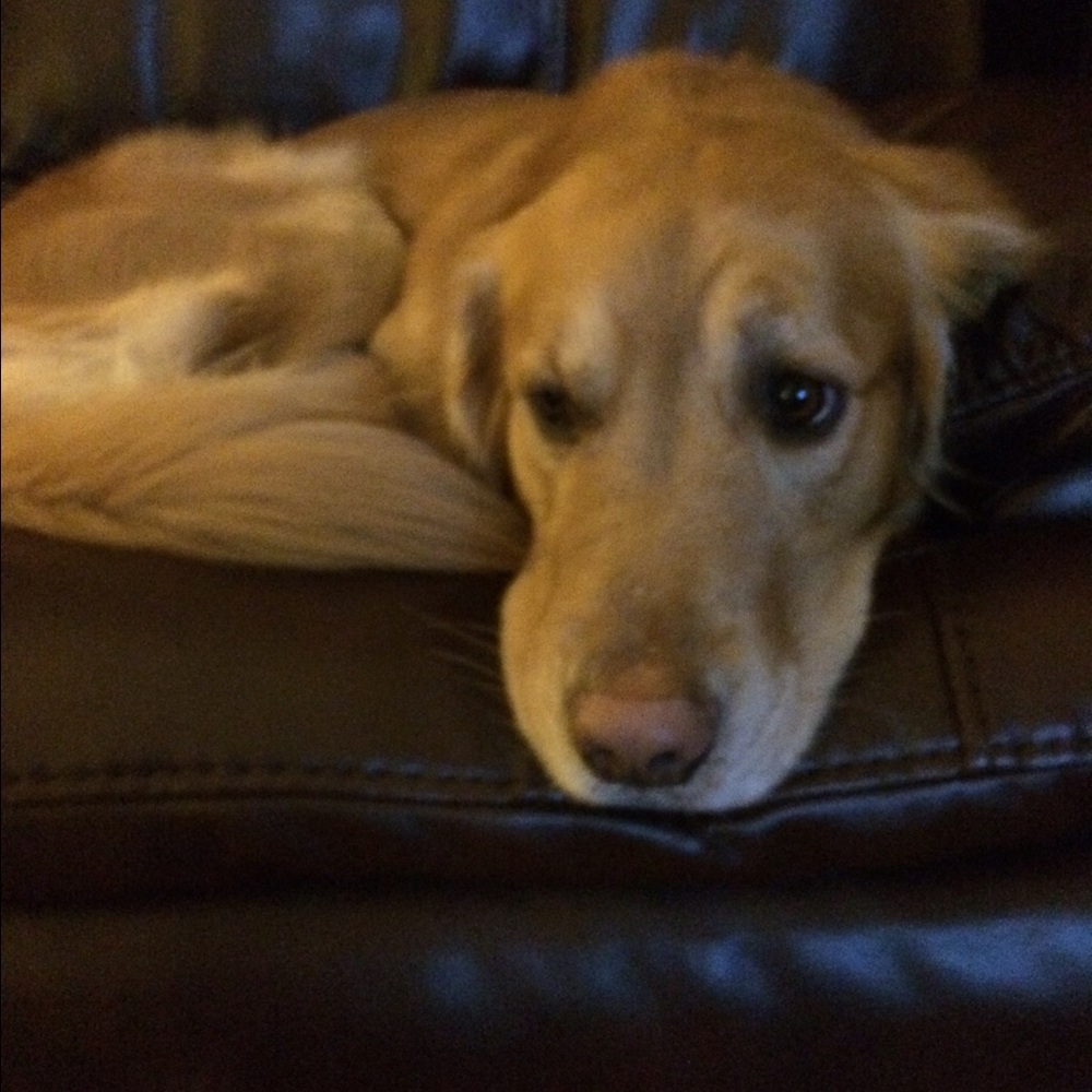 Meet your Posher, Denise