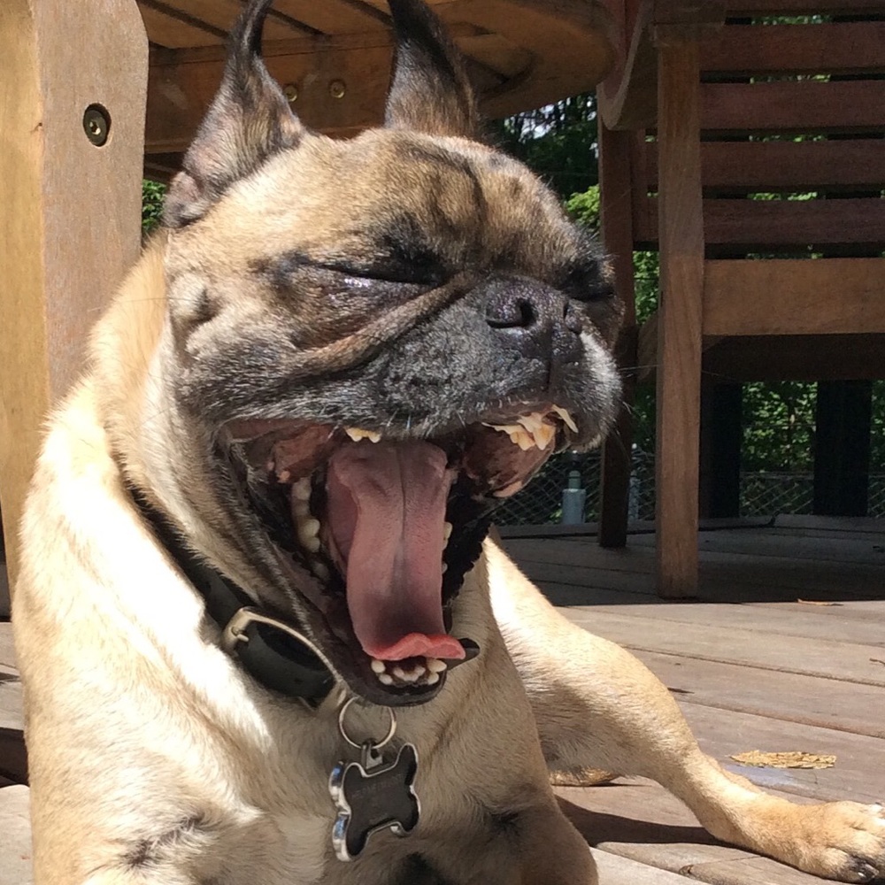 Meet your Posher, Zoë