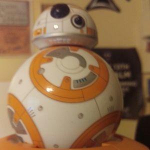 Meet your Posher, Terry