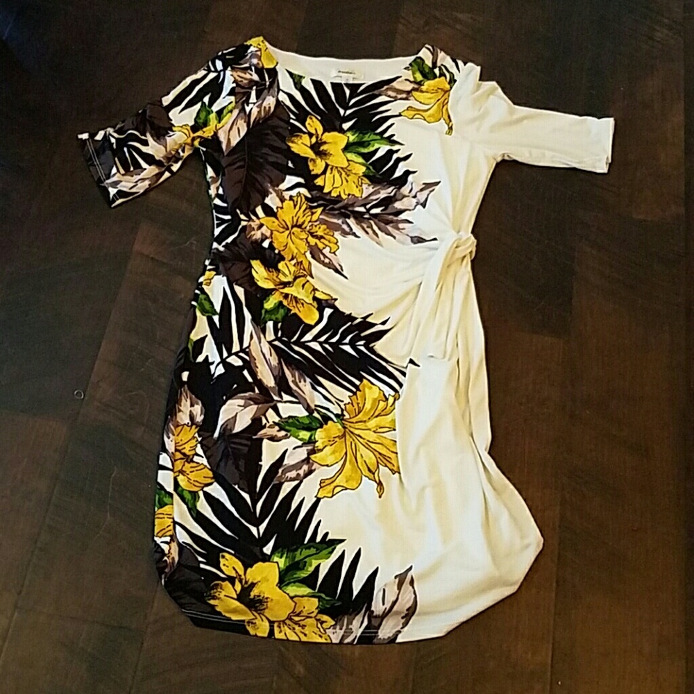 DressBarn dress