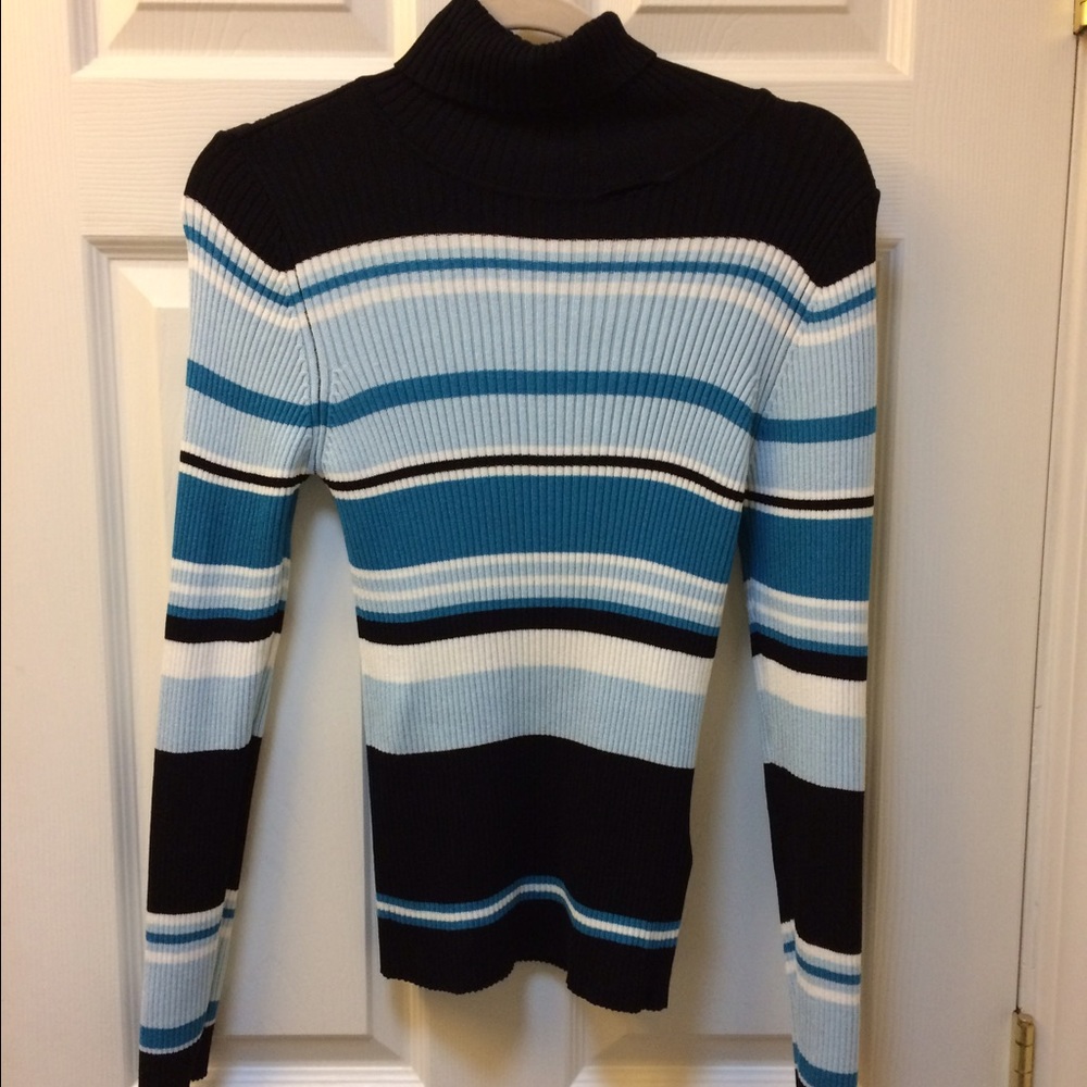 Venus Striped Turtleneck Sweater
