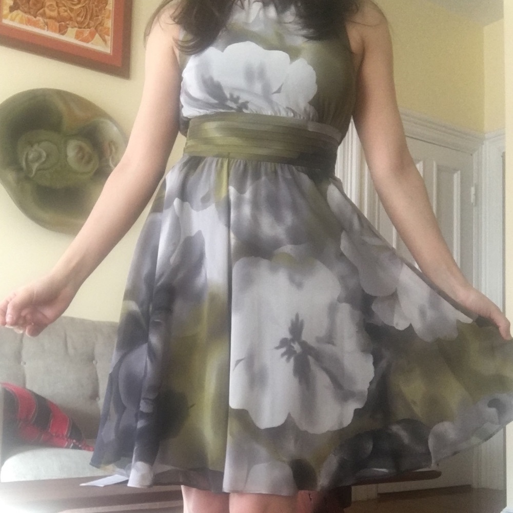 Ann Taylor dress