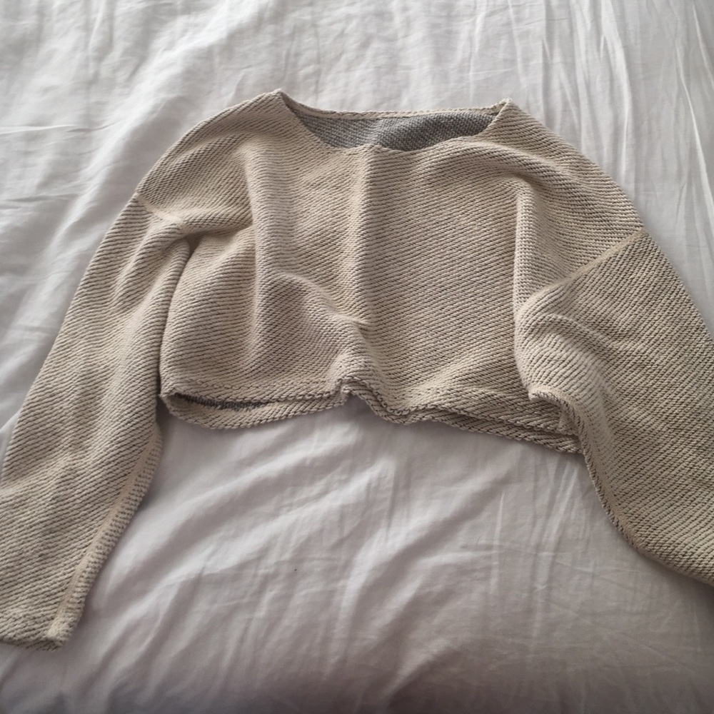 American Apparel Cropped sweater