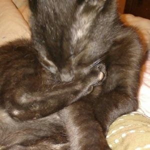 Meet your Posher, Alyssa