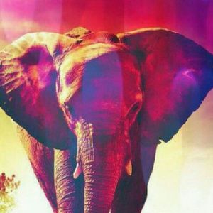 Meet your Posher, Sherry