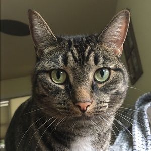 Meet your Posher, Ryan