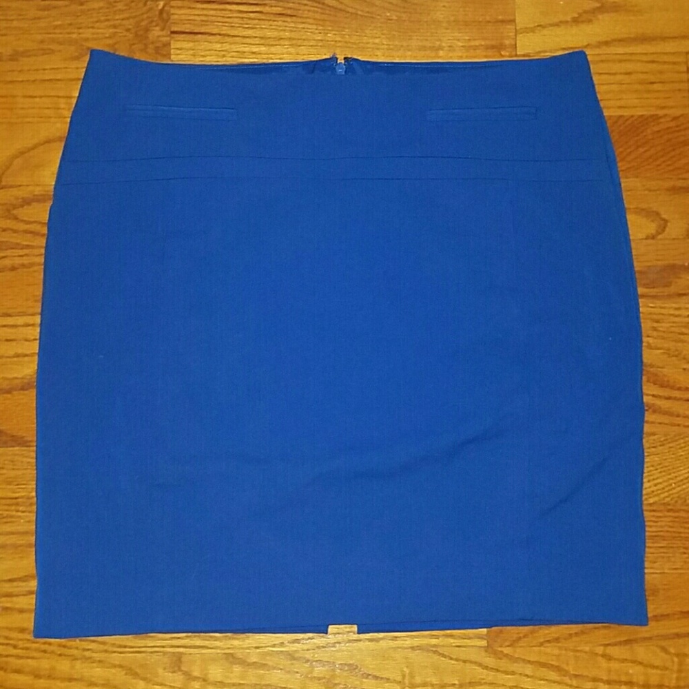 NEW Express Skirt