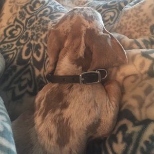 Meet your Posher, Candace