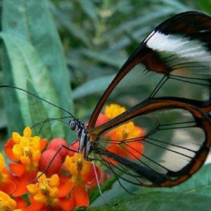 Meet your Posher, Ericka