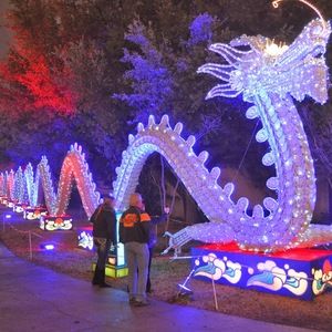 Meet your Posher, Bridget