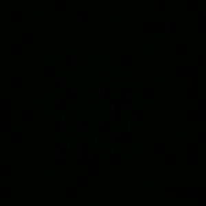 Meet your Posher, Malika