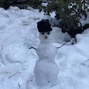 Meet your Posher, Irasema