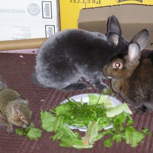 Meet your Posher, Vickie