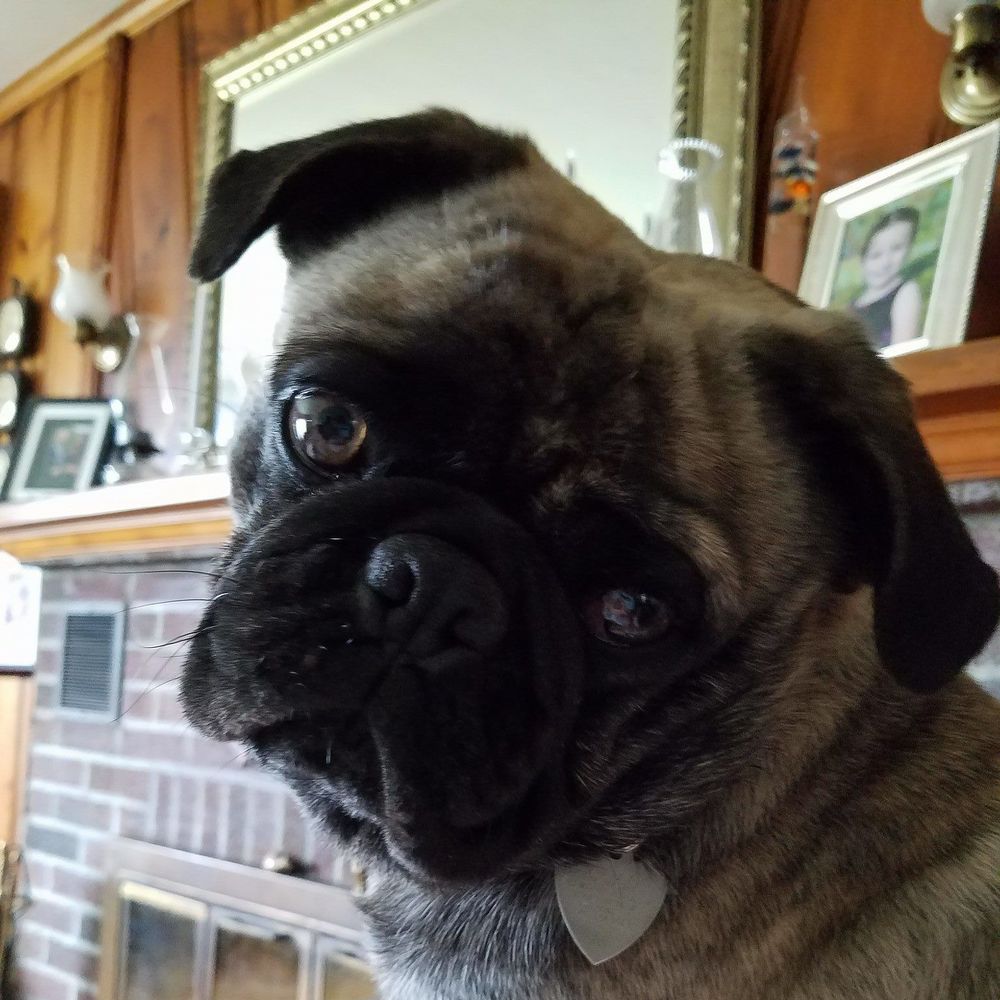 Meet your Posher, Beth