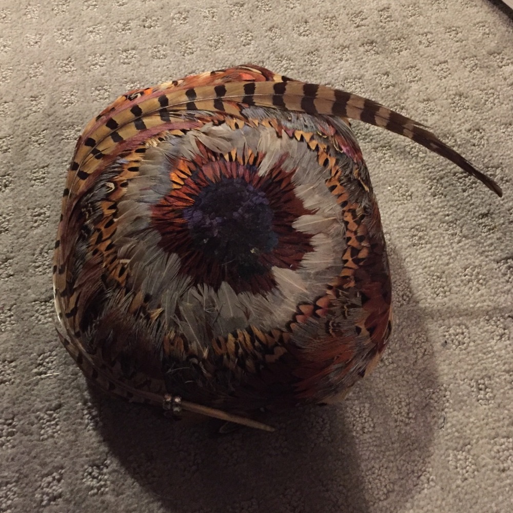 Vintage style feather hat