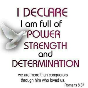 Meet your Posher, Cheyenne