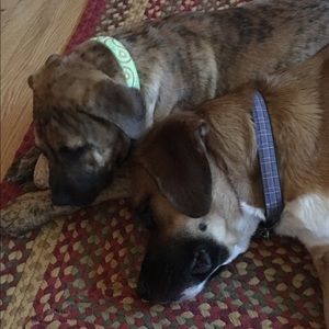 Meet your Posher, Kim