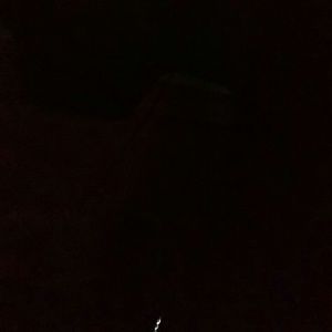 Meet your Posher, Ray