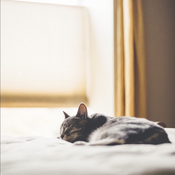 Meet your Posher, Chuan ying - Picture 1 of 1