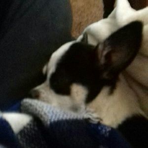 Meet your Posher, Hope