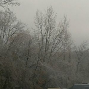 Meet your Posher, Glenna