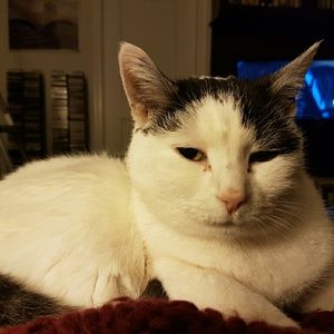 Meet your Posher, Sharon