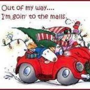 Meet your Posher, Elvira